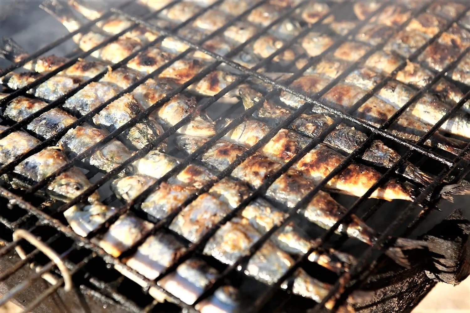 Poisson grillé au charbon de bois